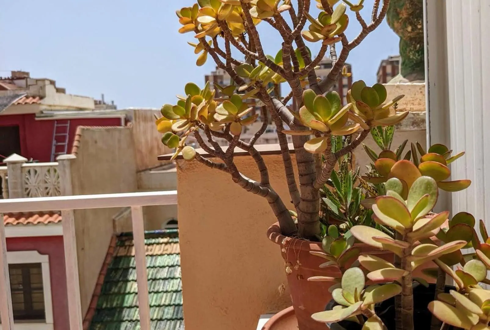 Casa Leon En El Centro De Malaga Apartment